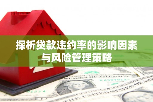 灵武探析贷款违约率的影响因素与风险管理策略