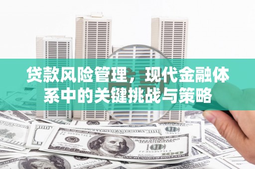 灵武贷款风险管理，现代金融体系中的关键挑战与策略