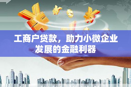 灵武工商户贷款，助力小微企业发展的金融利器