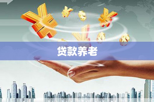 灵武贷款养老