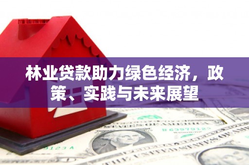 灵武林业贷款助力绿色经济，政策、实践与未来展望