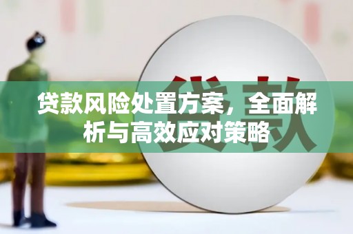 灵武贷款风险处置方案，全面解析与高效应对策略
