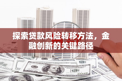 灵武探索贷款风险转移方法，金融创新的关键路径