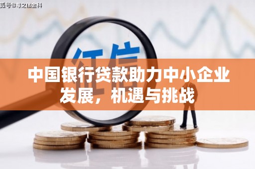 灵武中国银行贷款助力中小企业发展，机遇与挑战