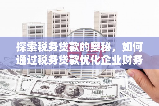 灵武探索税务贷款的奥秘，如何通过税务贷款优化企业财务