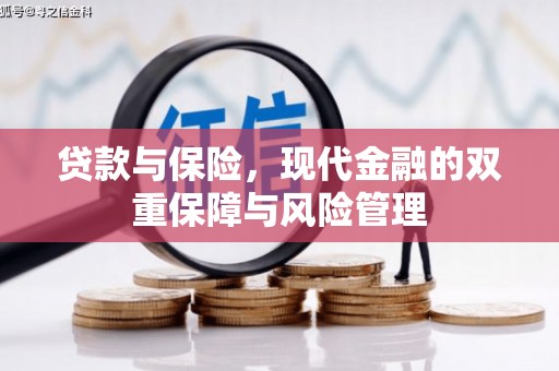 灵武贷款与保险，现代金融的双重保障与风险管理
