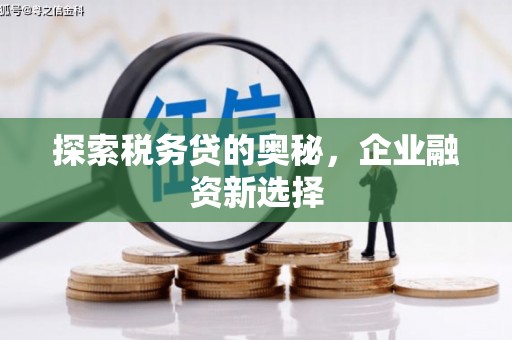 灵武探索税务贷的奥秘，企业融资新选择