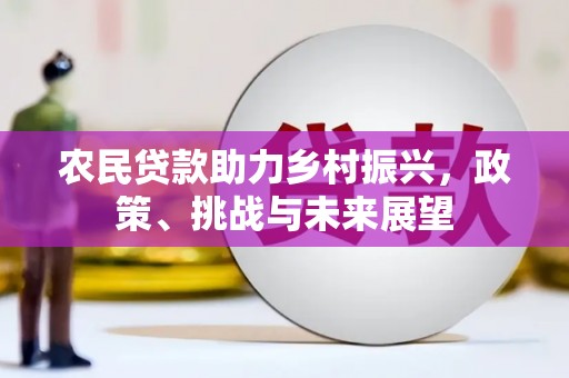 灵武农民贷款助力乡村振兴，政策、挑战与未来展望
