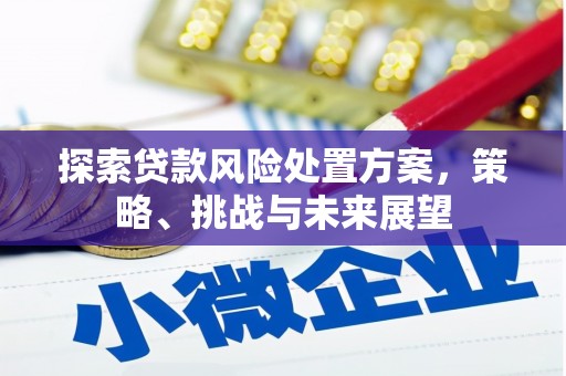 灵武探索贷款风险处置方案，策略、挑战与未来展望