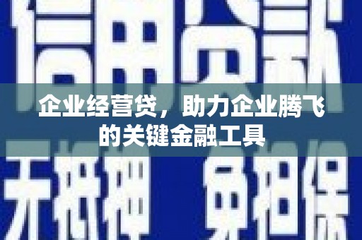 灵武企业经营贷，助力企业腾飞的关键金融工具