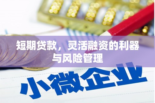 灵武短期贷款，灵活融资的利器与风险管理