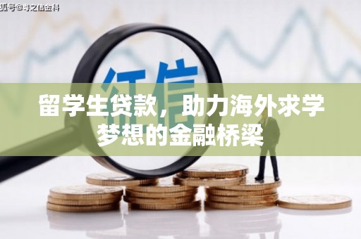 灵武留学生贷款，助力海外求学梦想的金融桥梁