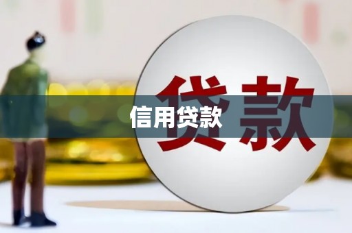 灵武信用贷款