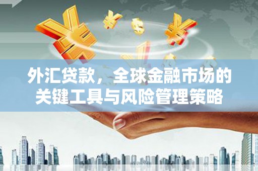 灵武外汇贷款，全球金融市场的关键工具与风险管理策略