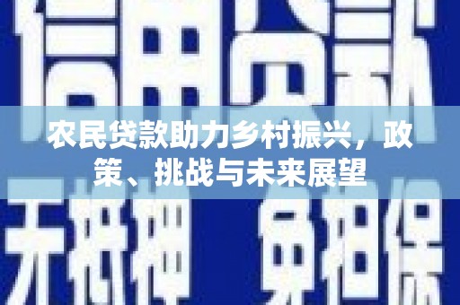 灵武农民贷款助力乡村振兴，政策、挑战与未来展望