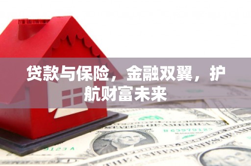 灵武贷款与保险，金融双翼，护航财富未来