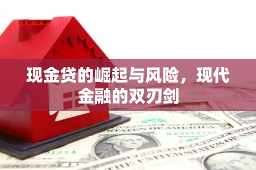 灵武现金贷的崛起与风险，现代金融的双刃剑