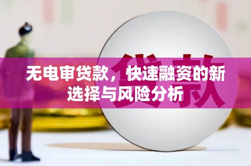 灵武无电审贷款，快速融资的新选择与风险分析