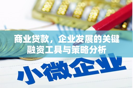 灵武商业贷款，企业发展的关键融资工具与策略分析