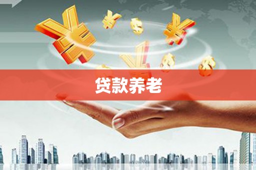 灵武贷款养老