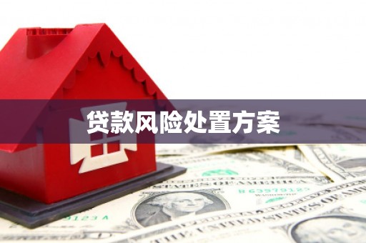灵武贷款风险处置方案
