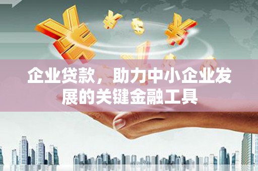 灵武企业贷款，助力中小企业发展的关键金融工具