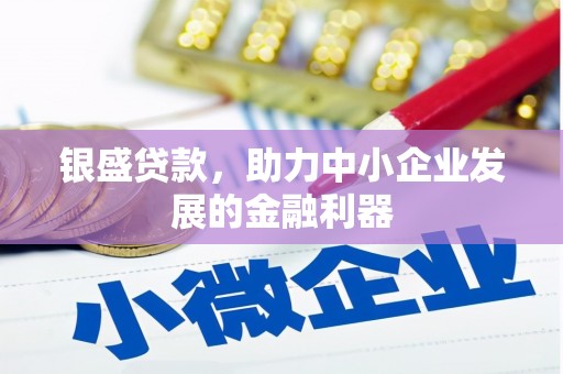 灵武银盛贷款，助力中小企业发展的金融利器