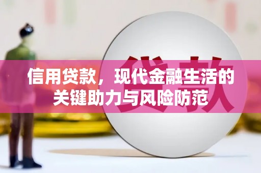 灵武信用贷款，现代金融生活的关键助力与风险防范