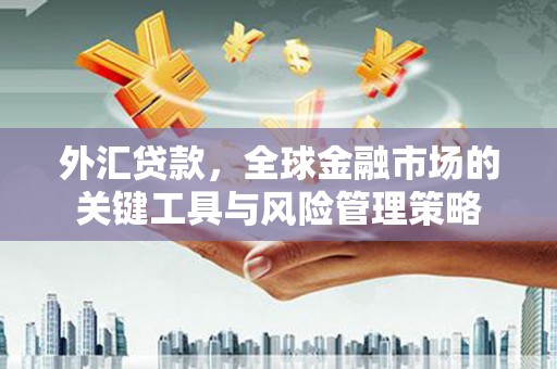 灵武外汇贷款，全球金融市场的关键工具与风险管理策略