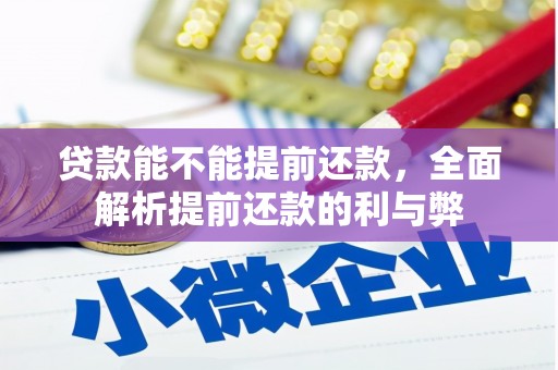 灵武贷款能不能提前还款，全面解析提前还款的利与弊