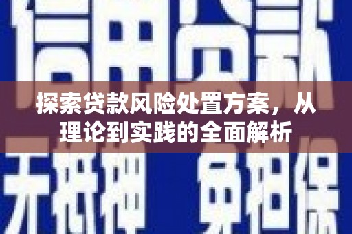 灵武探索贷款风险处置方案，从理论到实践的全面解析