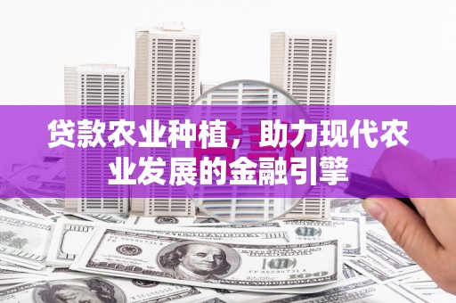 灵武贷款农业种植，助力现代农业发展的金融引擎