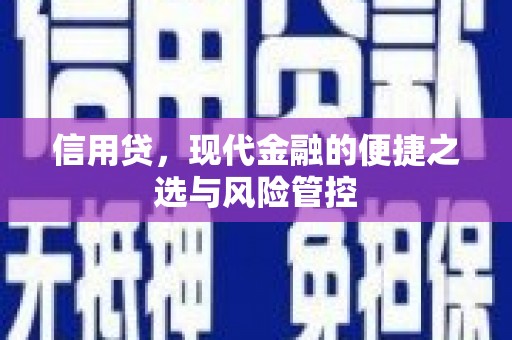 灵武信用贷，现代金融的便捷之选与风险管控