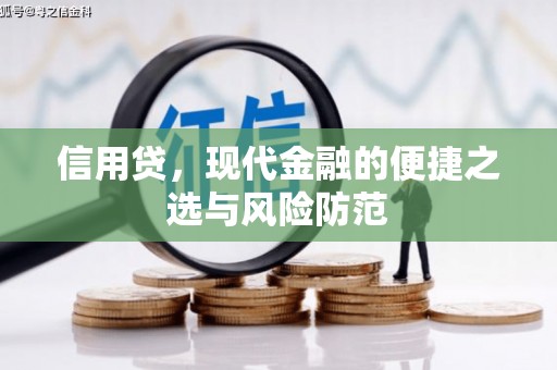 灵武信用贷，现代金融的便捷之选与风险防范
