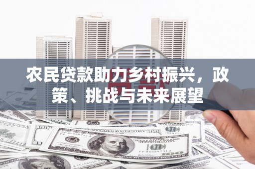 灵武农民贷款助力乡村振兴，政策、挑战与未来展望