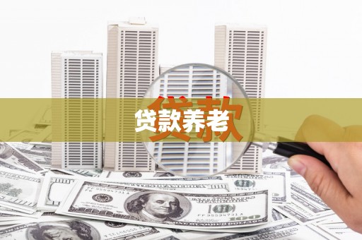 灵武贷款养老