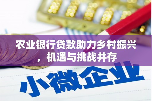 灵武农业银行贷款助力乡村振兴，机遇与挑战并存