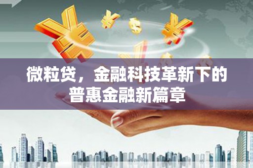 灵武微粒贷，金融科技革新下的普惠金融新篇章
