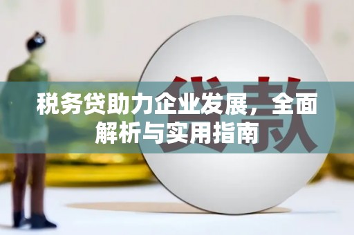 灵武税务贷助力企业发展，全面解析与实用指南