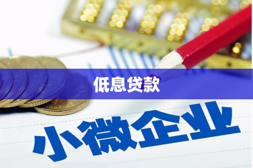 灵武低息贷款
