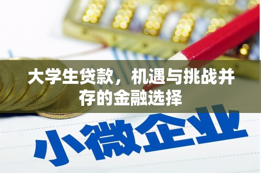 灵武大学生贷款，机遇与挑战并存的金融选择