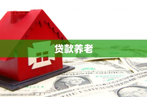 灵武贷款养老