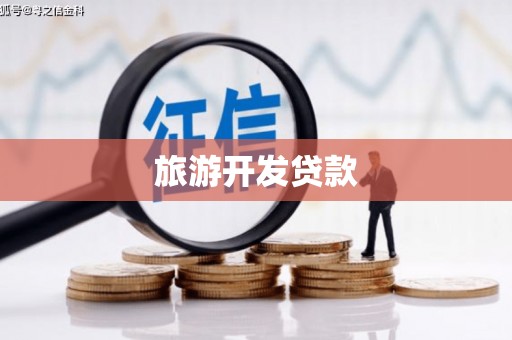 灵武旅游开发贷款