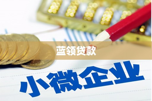 灵武蓝领贷款