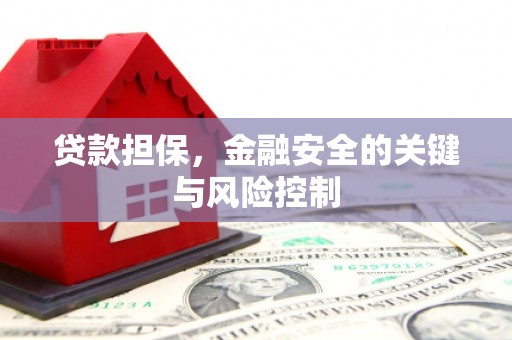 灵武贷款担保，金融安全的关键与风险控制