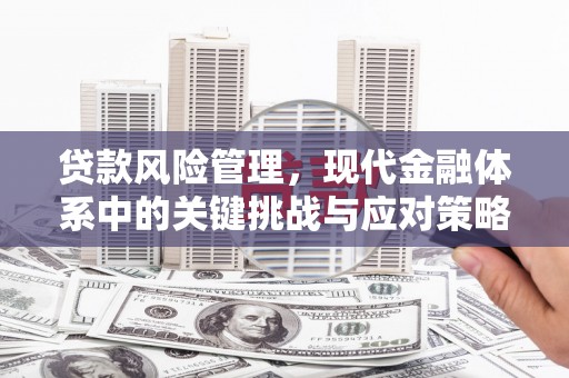 灵武贷款风险管理，现代金融体系中的关键挑战与应对策略
