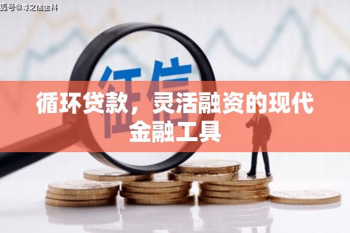 灵武循环贷款，灵活融资的现代金融工具