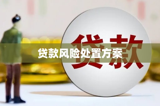 灵武贷款风险处置方案